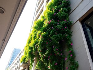 Grădină suspendată vibrantă pe un perete de clădire urbană.